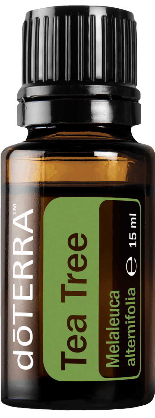 Olejek eteryczny doTERRA Drzewo herbaciane