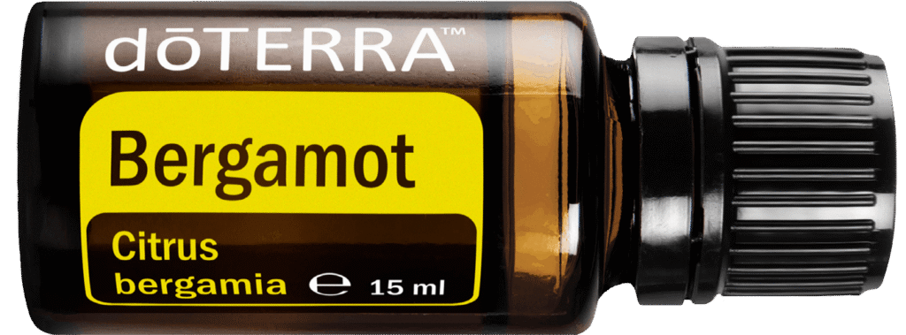 bergamotka